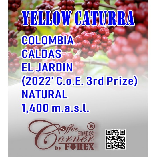 哥倫比亞 埃爾賈丁 日曬 黃色卡杜拉 Colombia El Jardin Yellow Caturra Natural