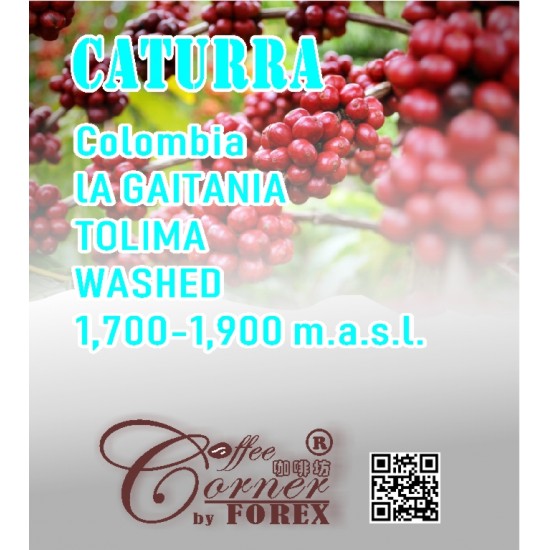 哥倫比亞 普拉納達 托利馬 水洗 卡杜拉 Colombia La Gaitania Tolima Caturra Washed