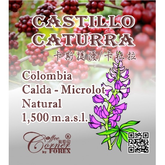 哥倫比亞 卡爾達斯省 卡斯提優 卡杜拉 日曬 Colombia Calda Castillo, Caturra Natural 