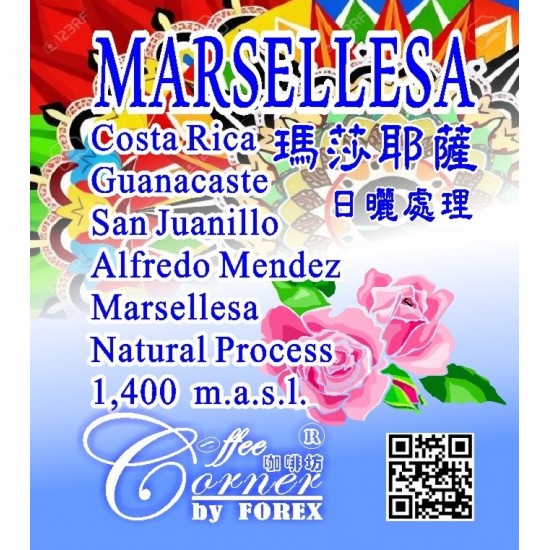 Costa Rica San Juanillo Altrdeo Mendez Marsellesa Natural 哥斯達尼加 阿爾弗雷多 門德斯 瑪莎耶薩 日曬