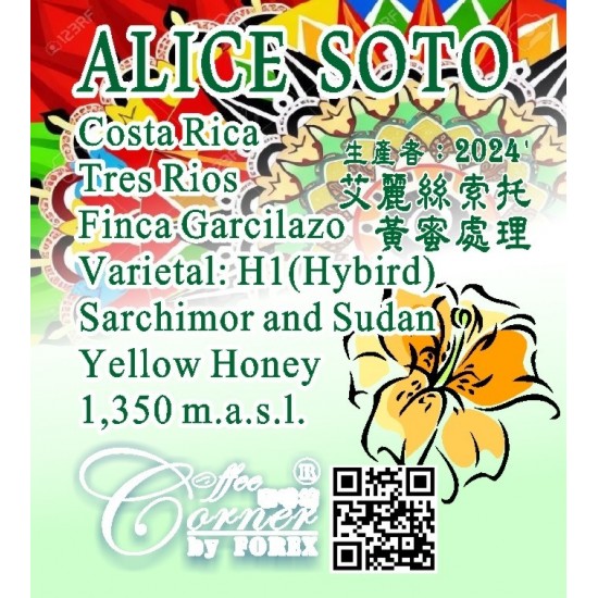 Costa Rica Alice Soto Final Garcilazo H1 Hybird Yellow Honey 哥斯達尼加 艾麗絲 索托 H1黃蜜處理