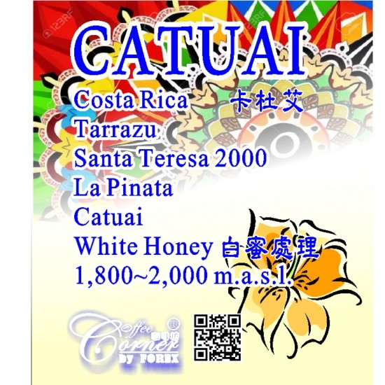 哥斯達尼加 塔拉珠 驚喜莊園 卡杜艾 白蜜處理 Costa Rica Tarrazu La Pinata White Honey Catuai