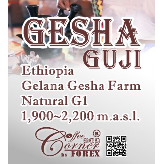 衣索匹亞 - 古吉 格蕾娜 藝妓【日曬處理法】 Ethiopia Guji Gesha Gelena Natural 