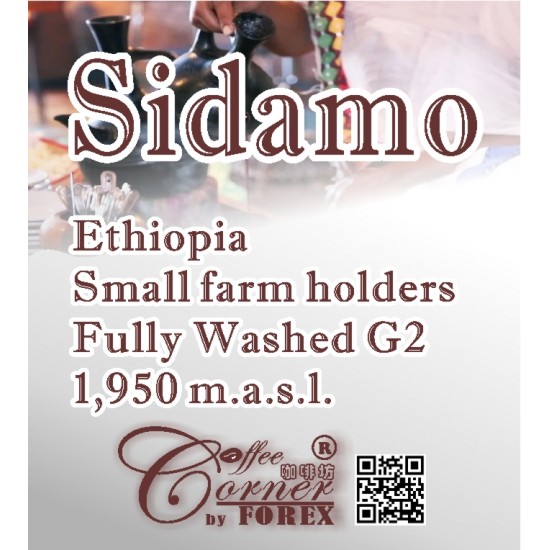 衣索比亞 西達莫 G2 水洗  Ethiopia Sidamo G2 Washed 