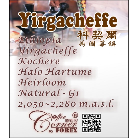 衣索比亞 耶加雪菲科契爾 荷圖莓 日曬處理 G1 Ethiopia Yirgacheffe Kochere Halo Hartume Natural G1