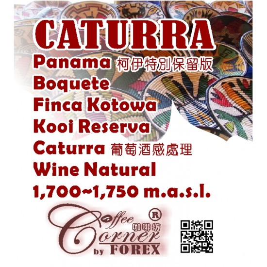 巴拿馬 山脈莊園 柯伊 特別保留版 卡杜拉 葡萄酒日曬 Panama Finca Kotowa Kooi Reserva Caturra Wine Natural T2