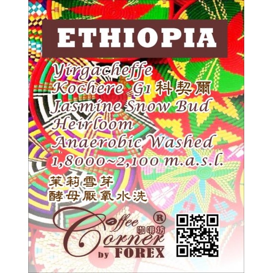 埃塞俄比亞 耶加雪菲 科契爾 茉莉雪芽 一級酵母厭氧水洗  Ethiopia Kochere Yirgacheffe Jasmine Snow Bud G1 Anaerobic Washed